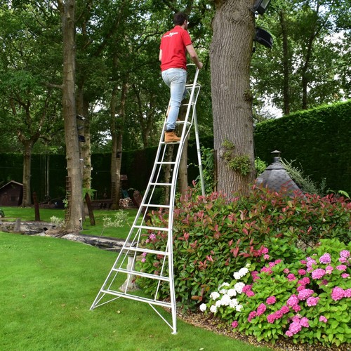 Garden ladder tripod - tripod,