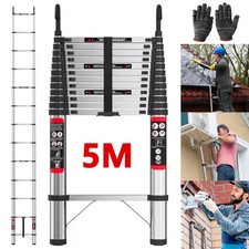 Telescopic Extension Ladder 5M